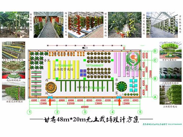 甘肅無土栽培設(shè)計方案